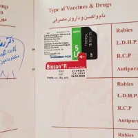 برفی خانوم|سگ|قم, شهرک مهدیه (مدرس)|دیوار