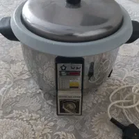 پلوپز برقی پویا