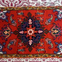 پادری هریس