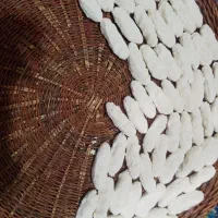 کشک کوردستان