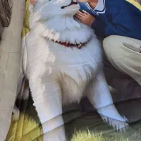 لحاف و سرویس کامل روتختی چاپ سه بعدی|سرویس روتختی|مشهد, الهیه|دیوار