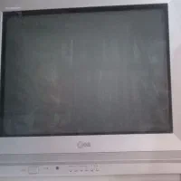 تلویزیون