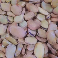 باقله خشک|خوردنی و آشامیدنی|شوشتر, |دیوار