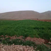 زمین کشاورزی سمیرم