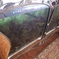 آکواریوم|ماهی|مشهد, خرمشهر|دیوار