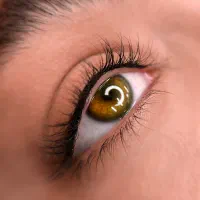 مدل فیبروز و نچرال بروز خط چشم دائم و شیدینگ لب|خدمات آرایشگری و زیبایی|تهران, چهارصد دستگاه|دیوار