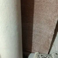 موکت پالاز