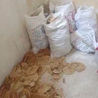 نانخشک حیوانی