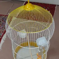 قفس خیلی شیک وزیبا مخصوص طوطی و عروس هلندی