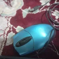 موس و کیبورد|قطعات و لوازم جانبی رایانه|سبزوار, شرق کال عیدگاه|دیوار