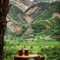 تور یک روزه شاد کنگ