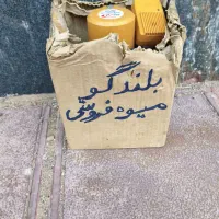بلندگو