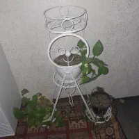 استند جا گلدونی