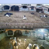 فروش و اجرای دوربین های مداربسته و دزدگیر اماکن