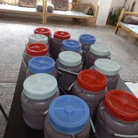 رب خانگی مادر بزرگ