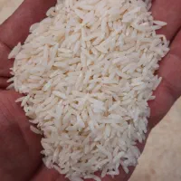 برنج طارم هاشمی اعلا|خوردنی و آشامیدنی|کرج, کوی کارمندان شمالی|دیوار