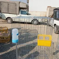 جفت کن کبوتری ۶۰ در ۵۰ قیمت عمده ۲۵۰ مقطوع|لوازم جانبی حیوانات|نسیمشهر, |دیوار