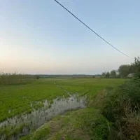 15000مترزمین زراعی