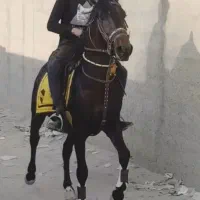 نریون کره کیوان