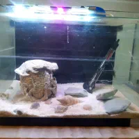 آکواریوم  شرکتی با تمام لوازم