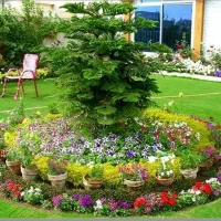 باغبانی هرس شخم گل