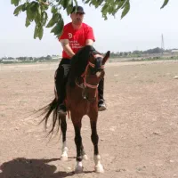 فروش اسب درهمی