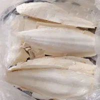 کف دریا 350000