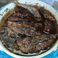 عسل وحشی سرشاخه درختی