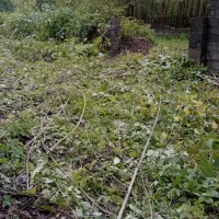 ۱۴۳۰۰متر مسکونی و باغات داخل طرح سند تک برگ|فروش زمین و ملک کلنگی|طاهرگوراب, |دیوار