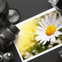 استخدام عکاس و تولید محتوا با بیمه در گلفروشی