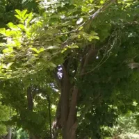 ۳۲۰۰ متر چهاردیواری در ایجدان