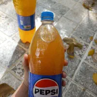 آبغوره تازه|خوردنی و آشامیدنی|شیراز, درکی|دیوار