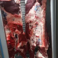 فروش ویژه گوشت تازه محلی|خوردنی و آشامیدنی|رشت, دیلمان|دیوار