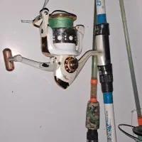 لنسر ژله ای و کربنی