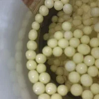 جوجه حلزون و خاویارحلزون به قیمت مناسب