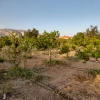 قطعات ۱۵۰  ۱۶۰  ۱۷۰  متری زمین اقساطی جابان دماوند|فروش زمین و ملک کلنگی|دماوند, دماوند|دیوار