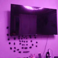 تلویزیون اسنوا|تلویزیون و پروژکتور|بروجرد, |دیوار