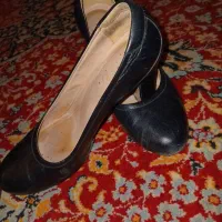 کفش پاشنه دار|کیف، کفش، کمربند|تویسرکان, |دیوار