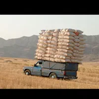 خریدار کاه هستم