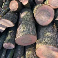 زمستان در راهه|بخاری، هیتر، شومینه|سیرجان, |دیوار