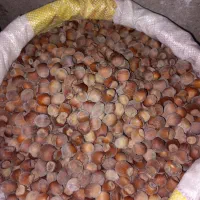 فندق درجه یک جنگلی|خوردنی و آشامیدنی|نمین, |دیوار