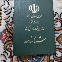 شناسنامه گم شده