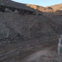 کود شترمرغ نصف قسمت کود گاو