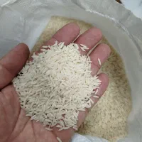 برنج فجر گرگان