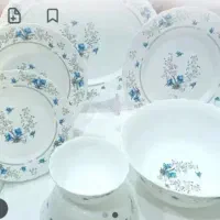 ظروف چینی اوپال
