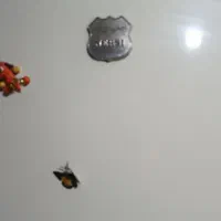 یخچال فریزر دودر|یخچال و فریزر|رشت, ولکس|دیوار