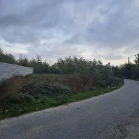 ۶۰۰ متر زمین درروستای زیبای نوخاله|فروش زمین و ملک کلنگی|تولم شهر, |دیوار