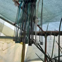 آویز گلدان بیست عدد