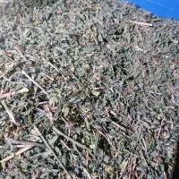یونجه
