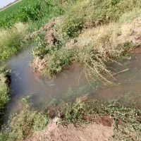 ۳۰۰۰۰ متر زمین کشاورزی روستای فارسیان|فروش دفتر صنعتی، کشاورزی، تجاری|دشتابی, |دیوار